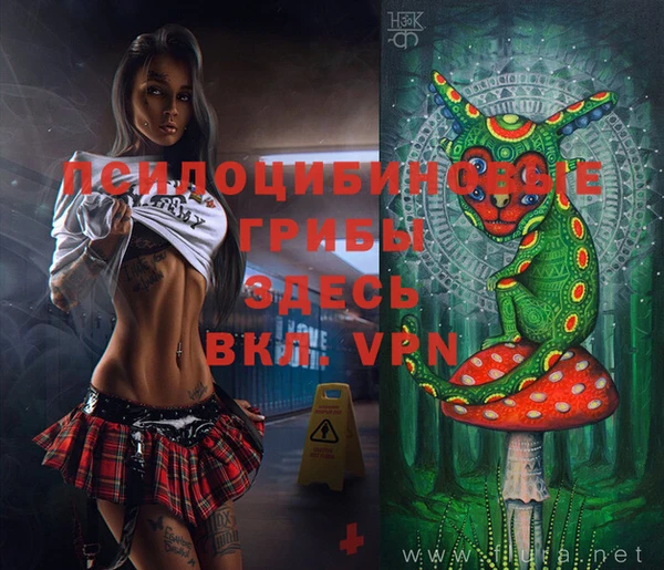 spice Абинск